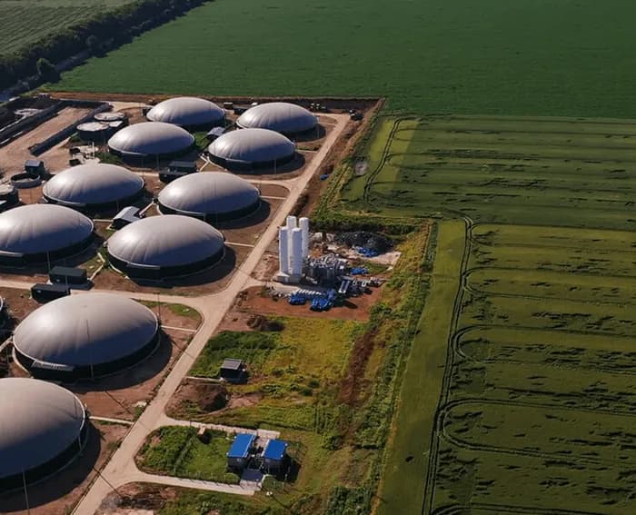 Ethanol & Biofuels